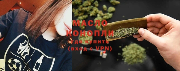 индика Россошь