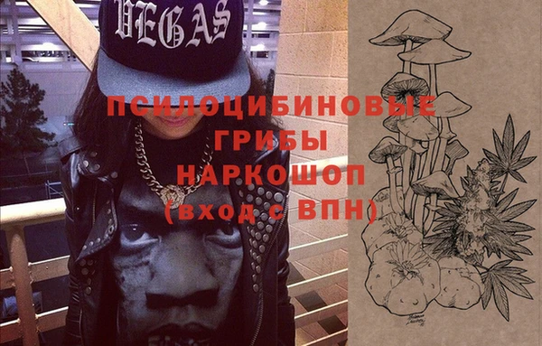индика Россошь