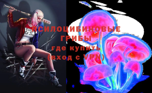 прущая мука Алзамай