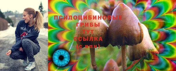 хмурый Алексин
