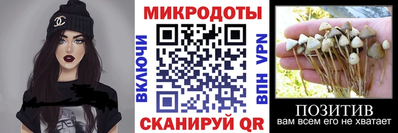 Псилоцибиновые грибы мицелий  Лесозаводск 
